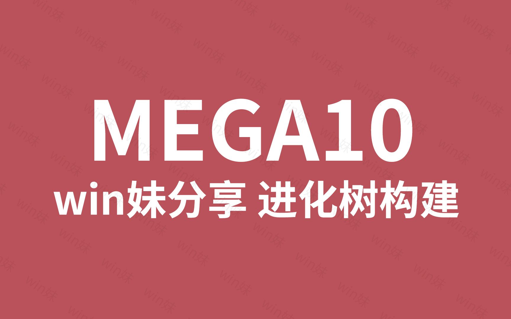 mega10进化树制作构建美化软件哔哩哔哩bilibili