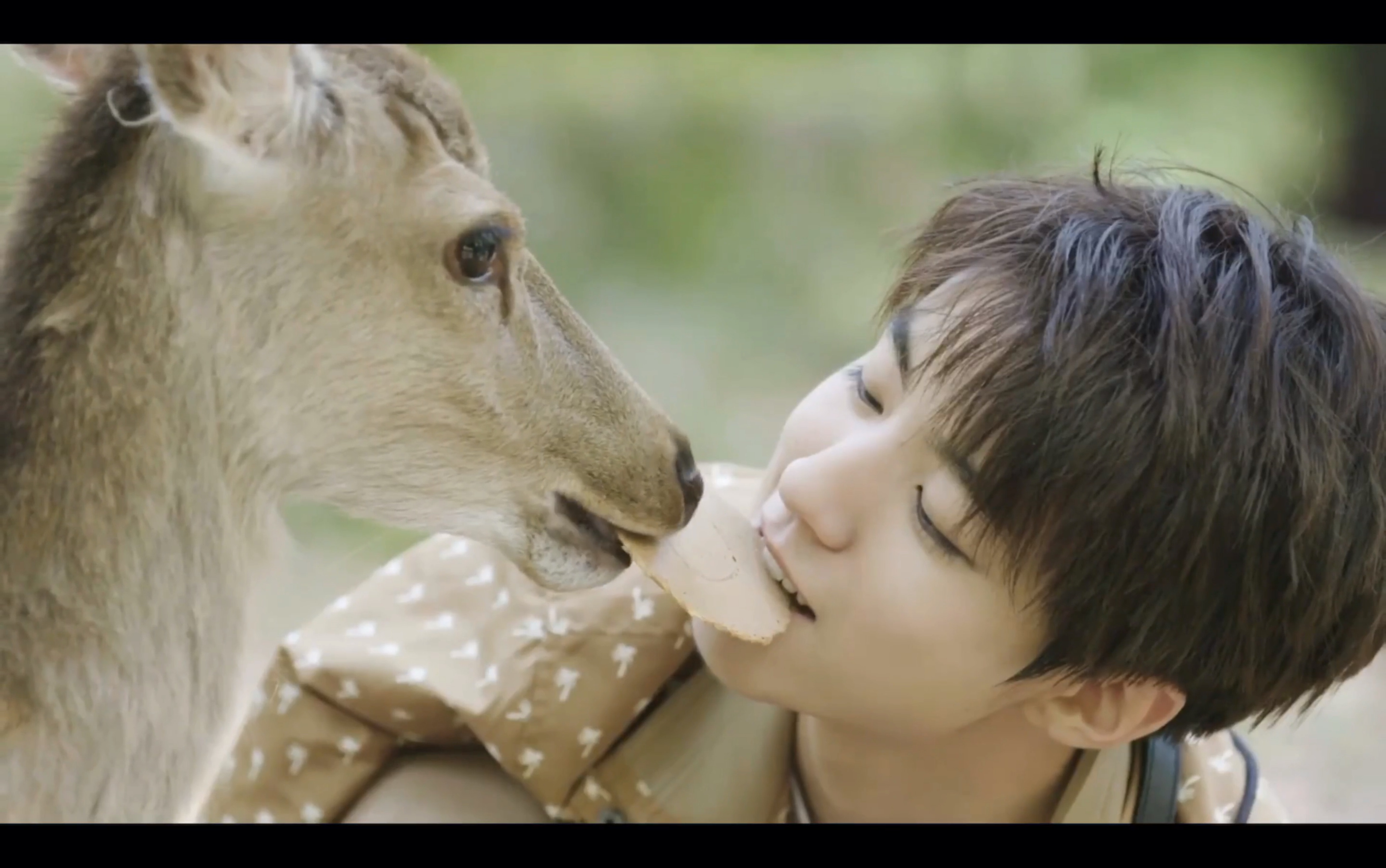 【王俊凯】瞬间混剪第一弹 少年向 日系少年凯凯 满屏溢出的少年感