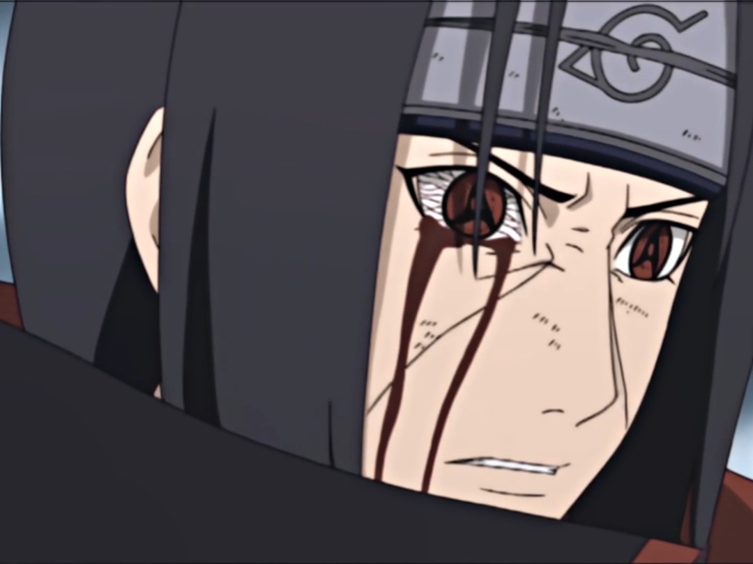 不懂鼬的人有难了