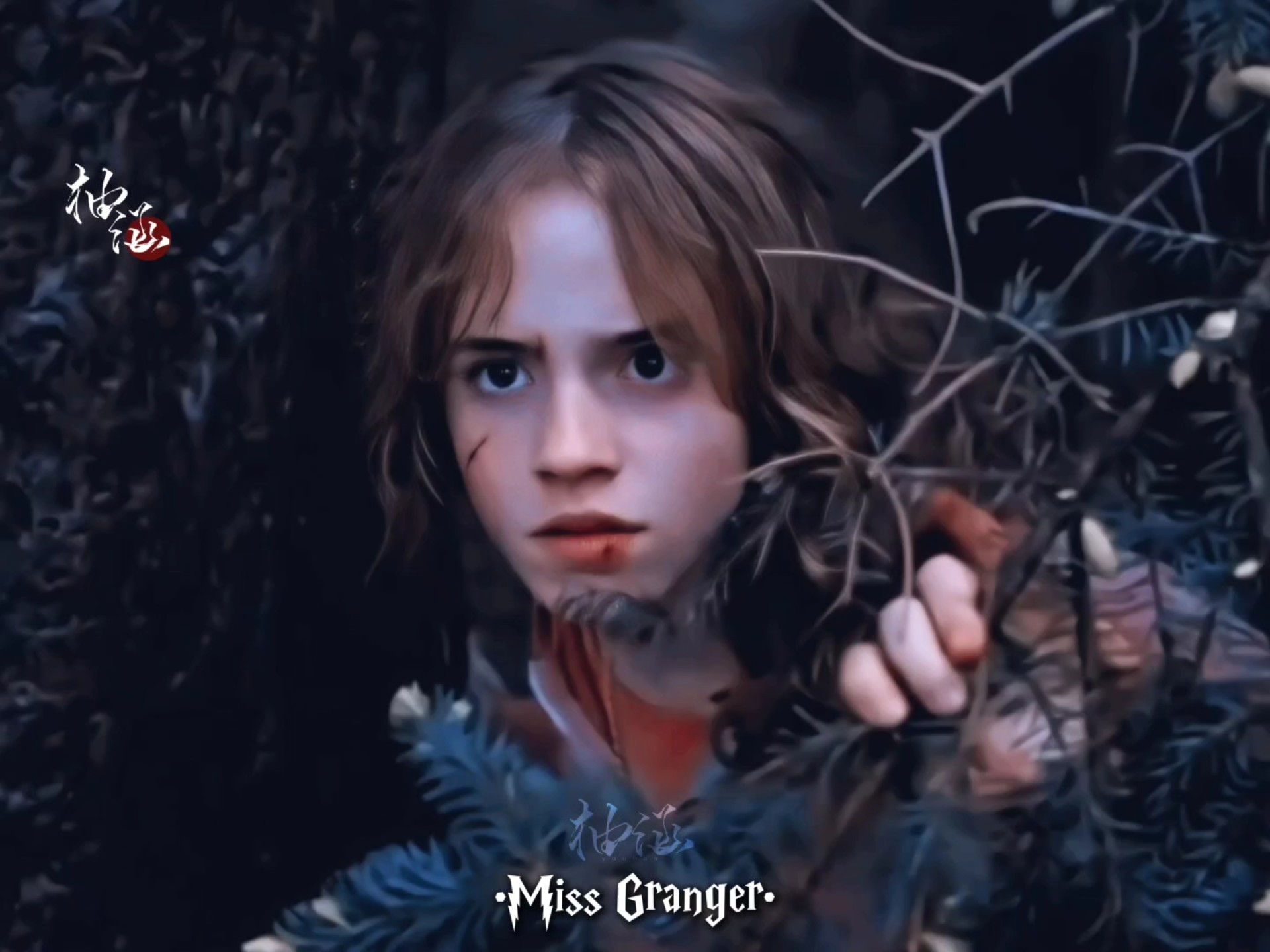 来自犬狼的肯定 #赫敏·格兰杰