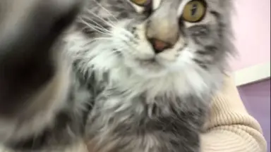 きゃり　井上直久3 きゃり 井上直久3 虹化石の街へ: 井上直久画集 | 井上 直久 |本 | 通販