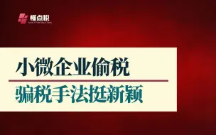 下载视频: 稽查案例：虚构小微企业条件，享受税收优惠