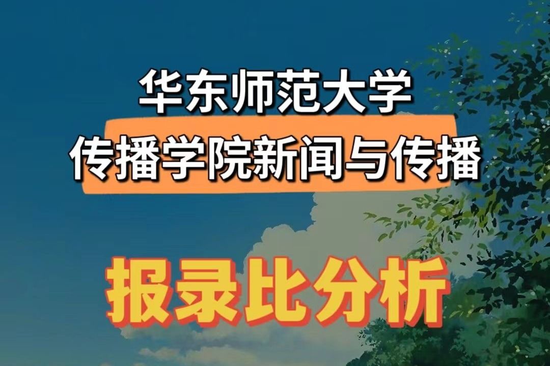 20192023新传报录比哔哩哔哩bilibili