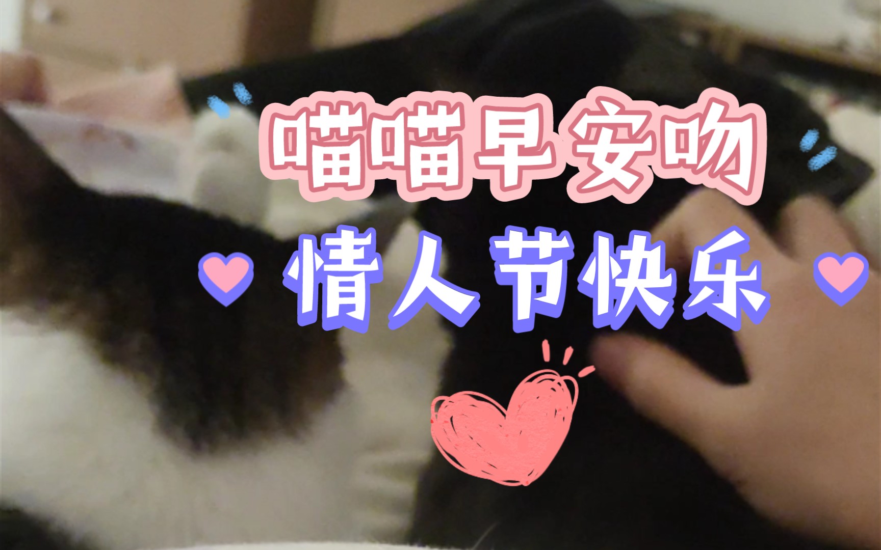 活动  起不来床的早晨(结尾有小黑的早安吻