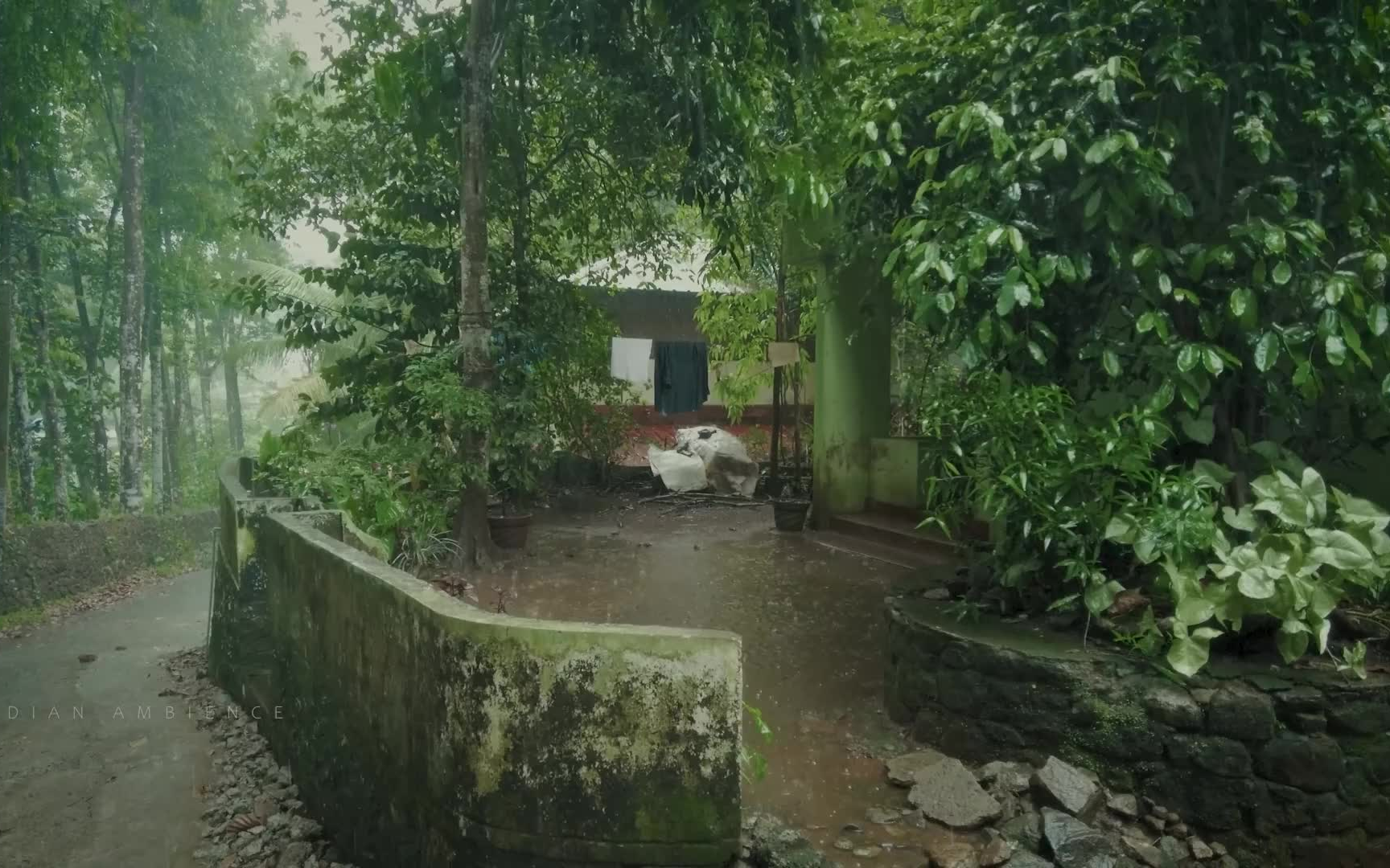 [图]印度雨天喀拉拉邦农村