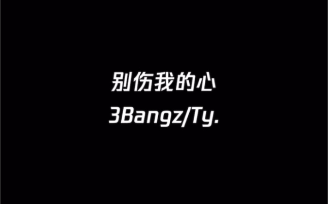 别伤我的心— 3Bangz&Ty.哔哩哔哩bilibili