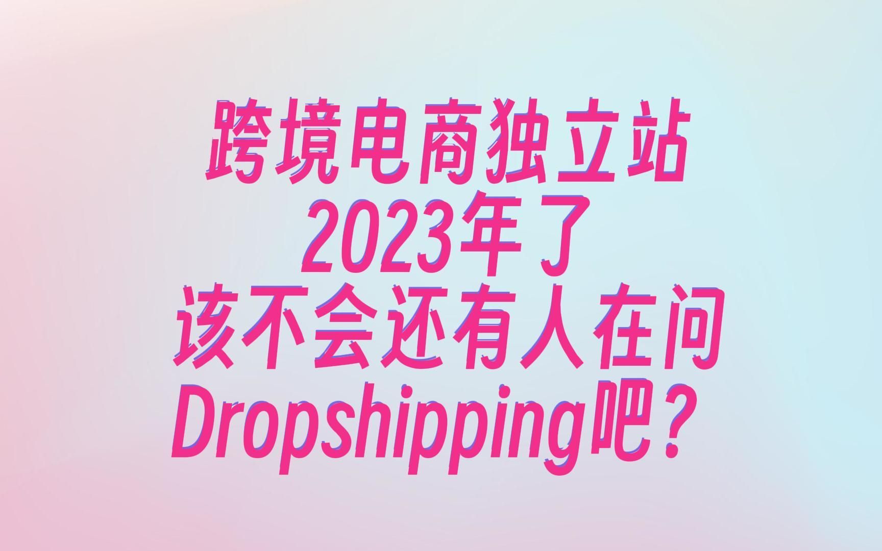 跨境电商独立站Dropshipping无门槛新人可做,月入百万?哔哩哔哩bilibili