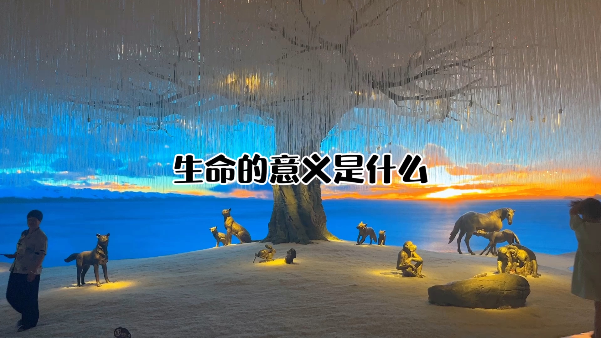 生命的意义是什么?