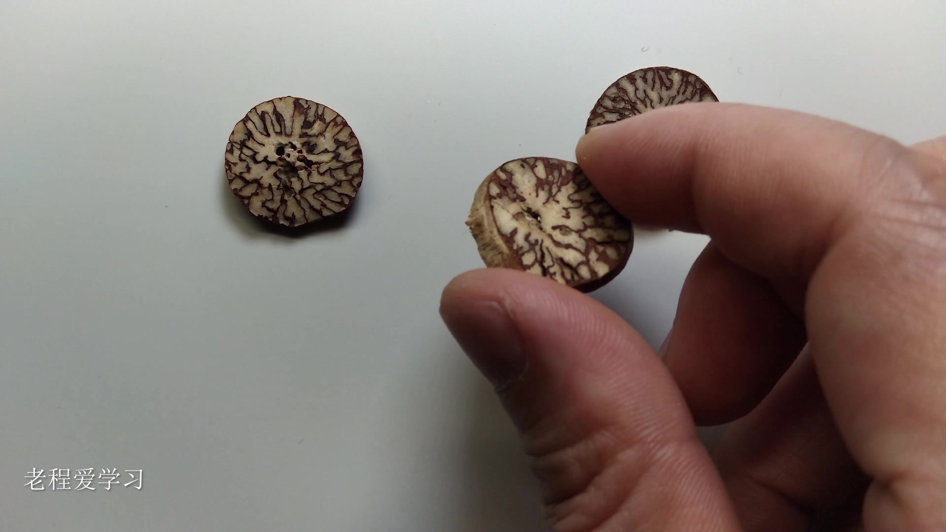 槟榔中药饮片的鉴定特点,断面显大理石样花纹