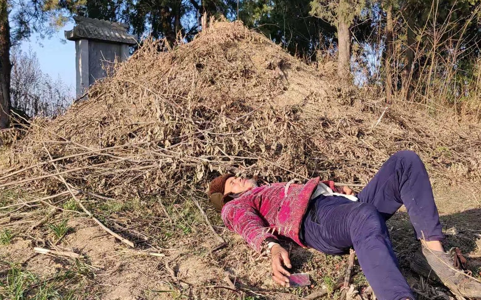 小伙去看望荒地老人,老人竟然躺在坟头上睡着了,小伙直呼太恐怖