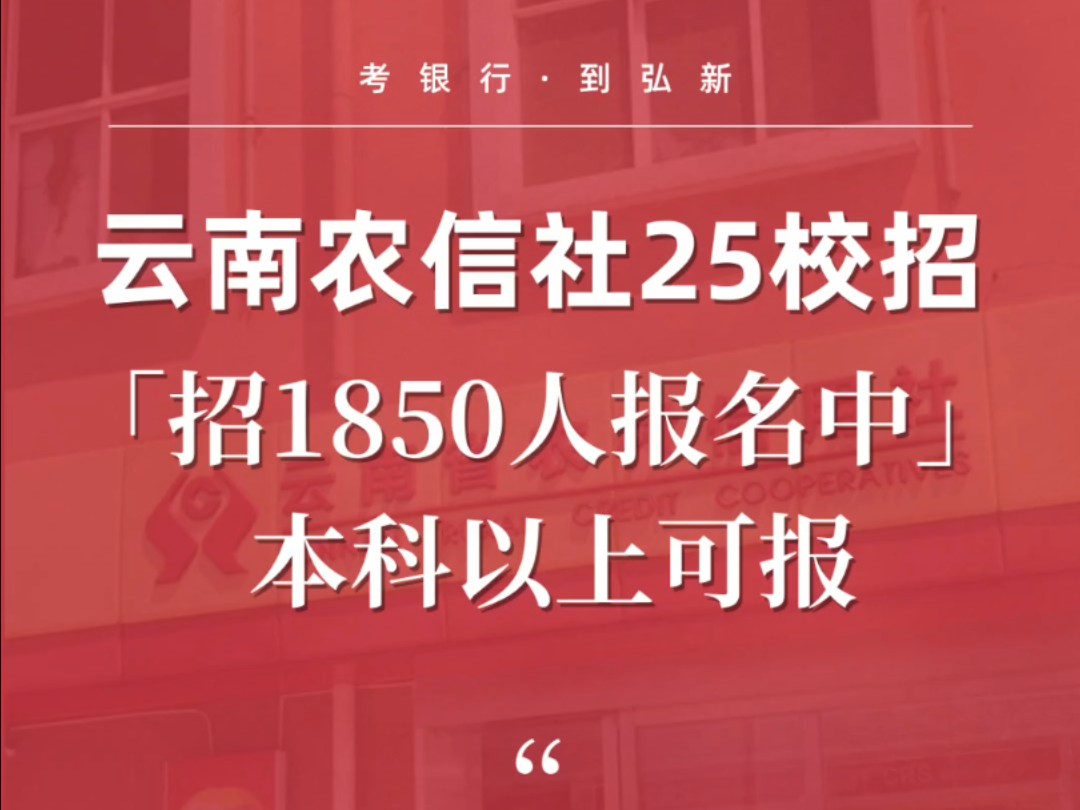 云南省农村信用社2025年校招1850人开始报名哔哩哔哩bilibili