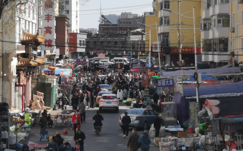 探店丨哈尔滨最好玩的鱼市!道外花鸟鱼市哔哩哔哩bilibili