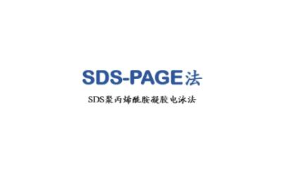 SDSPAGE凝胶电泳实验原理哔哩哔哩bilibili