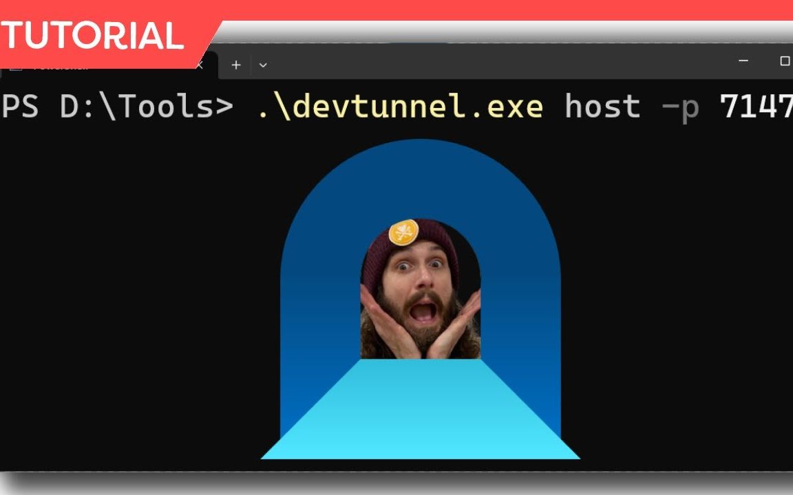 Web 开发人员使用 Dev Tunnels CLI 使用公共 URL 轻松测试 Web API 和应用程序哔哩哔哩bilibili