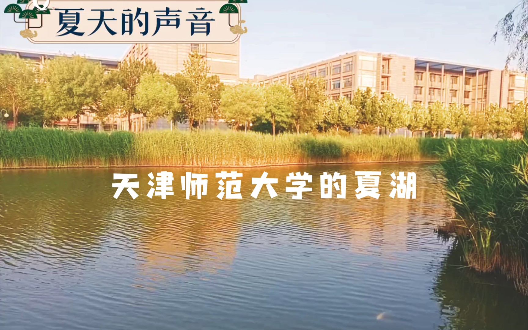 天津师范大学的秋水湖,夏天的傍晚,微风不燥,阳光正好.哔哩哔哩bilibili