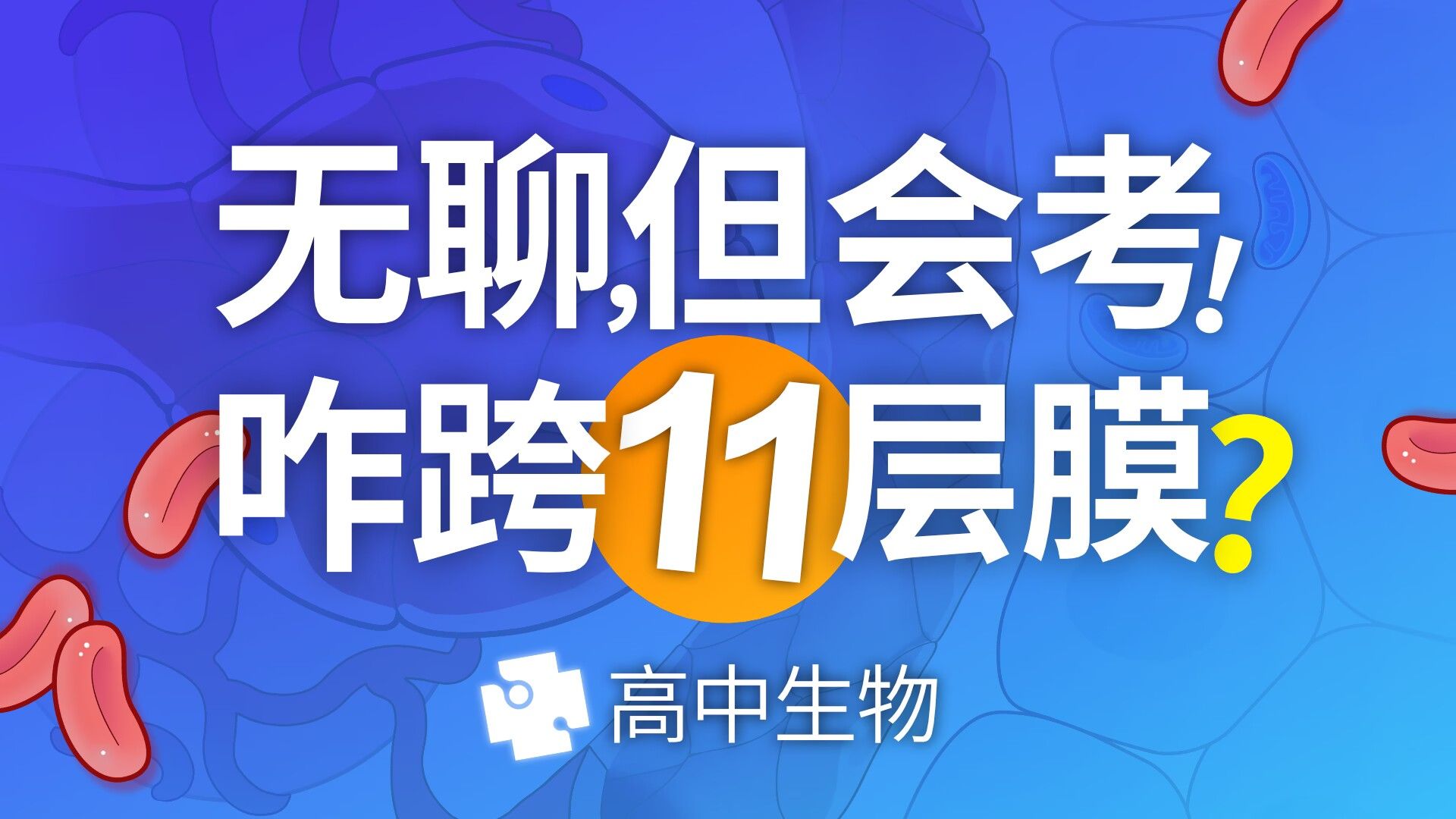 【高中生物易错点】物质跨膜层数问题动画全解高中生物必修一哔哩哔哩bilibili