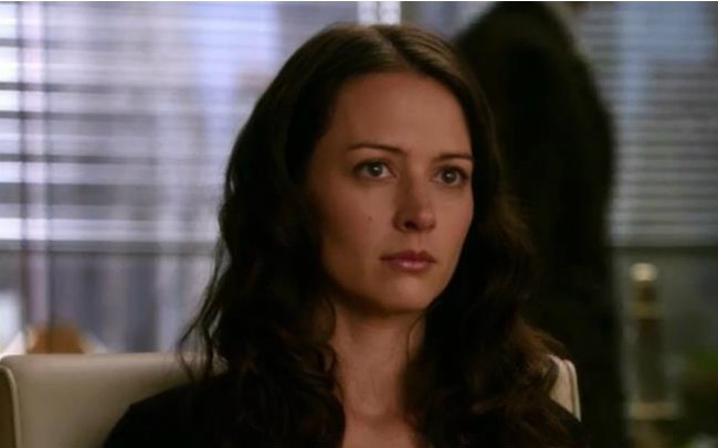 [图]【Amy Acker】剪辑 傲骨贤妻 The Good Wife S01E23