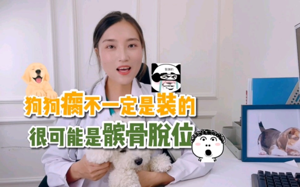 注意狗狗髌骨脱位哔哩哔哩bilibili