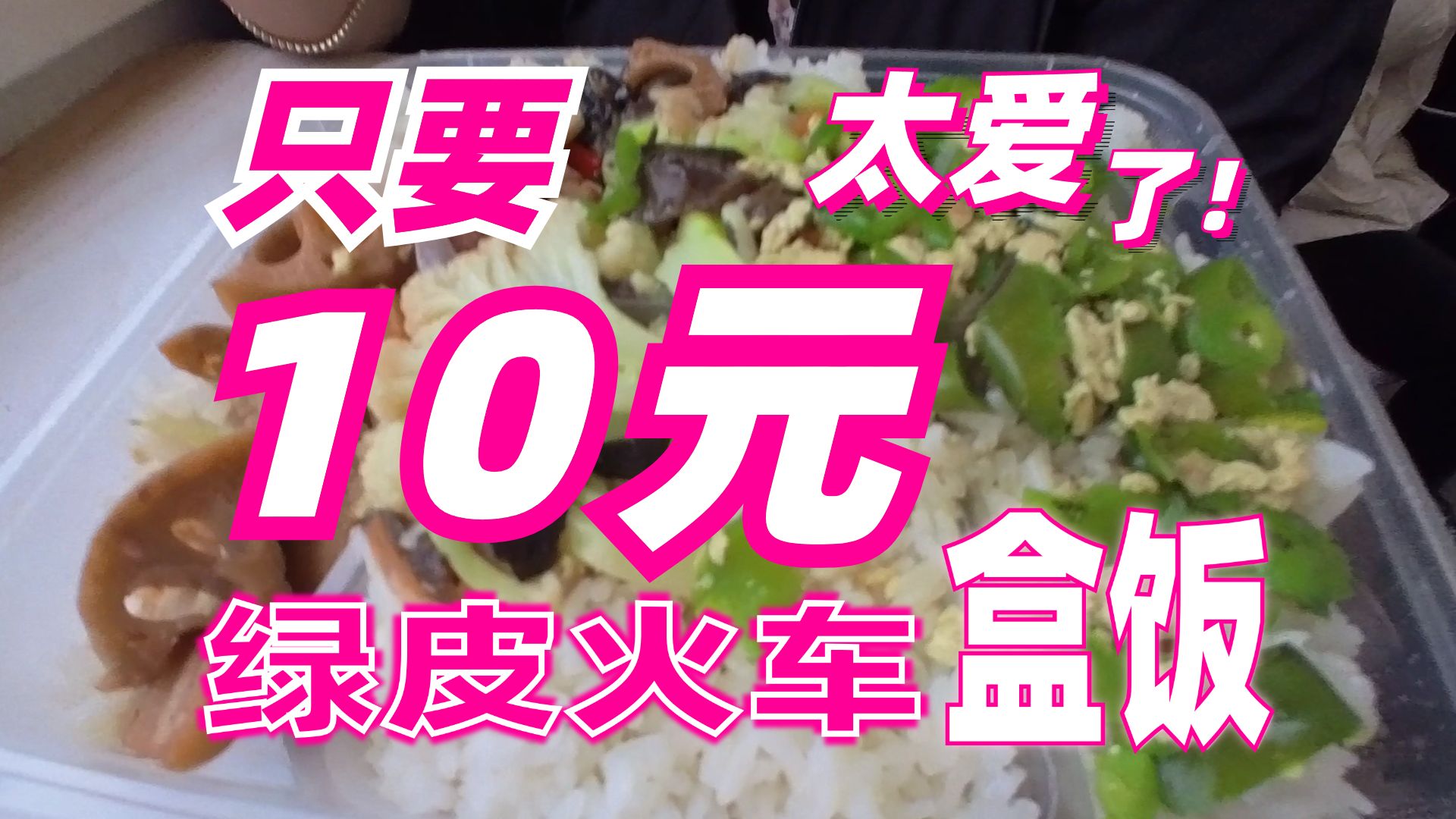 绿皮火车盒饭10元3个菜,盒饭爱好者狂喜!哔哩哔哩bilibili