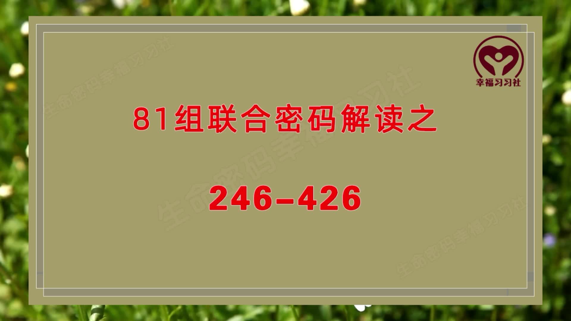 生命数字密码解读,81组联合密码解析之超级销售码246和426哔哩哔哩bilibili