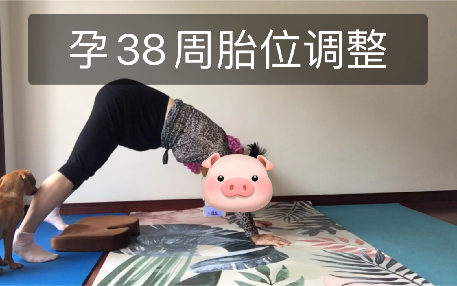 [图]胎位调整——离预产期还有10天，原来头位也不一定能顺产，枕前位才行！先练起来吧！