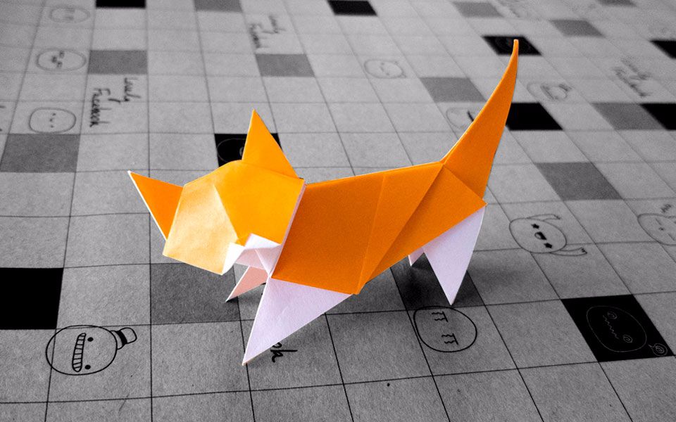 【折纸-教程】教你折只猫,"猫 白袜"吸得更痛快_哔哩哔哩_bilibili