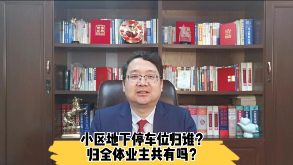 小区停车位归谁?归全体业主共有吗?哔哩哔哩bilibili