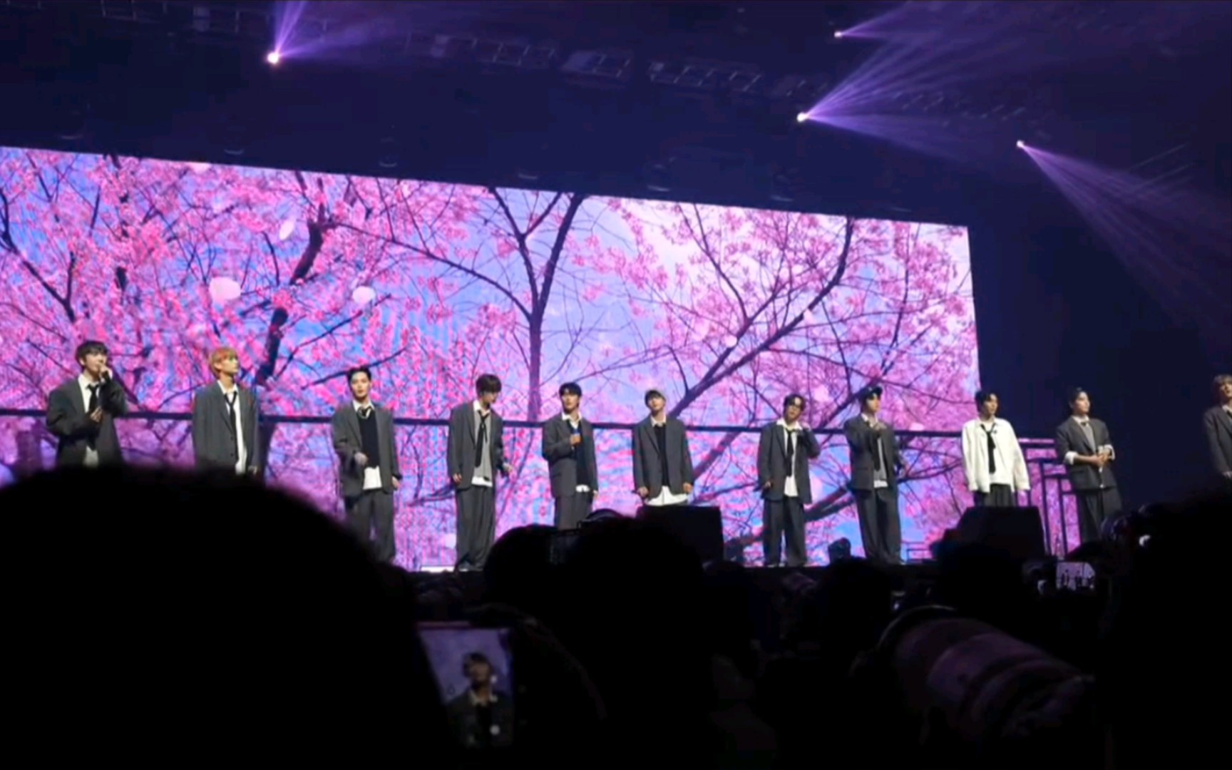 [omegax]240506island安可演唱会,cover《spring day》(春日)-bts,全