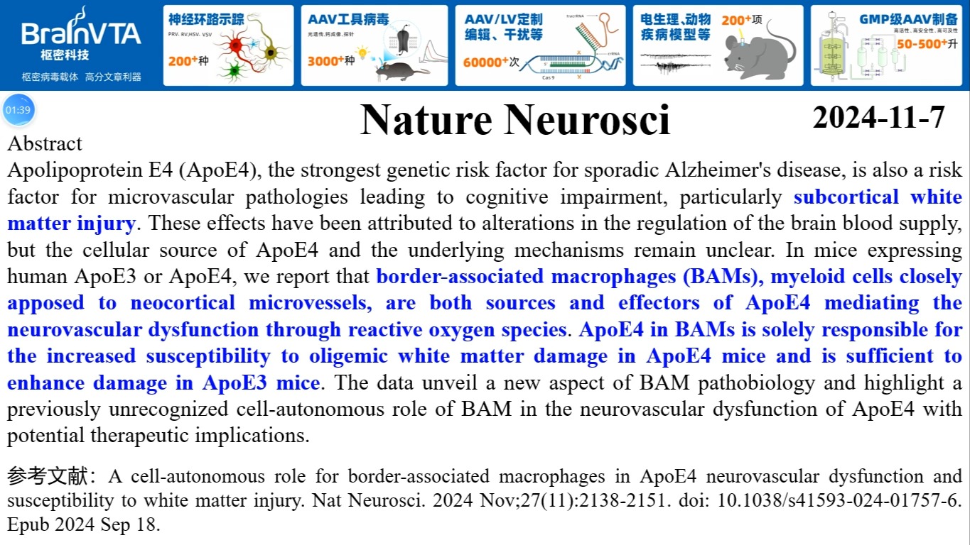 Nature Neurosci—神经免疫研究重磅:边界相关巨噬细胞(BAM)通过ApoE4介导神经血管功能障碍和脑白质损伤哔哩哔哩bilibili