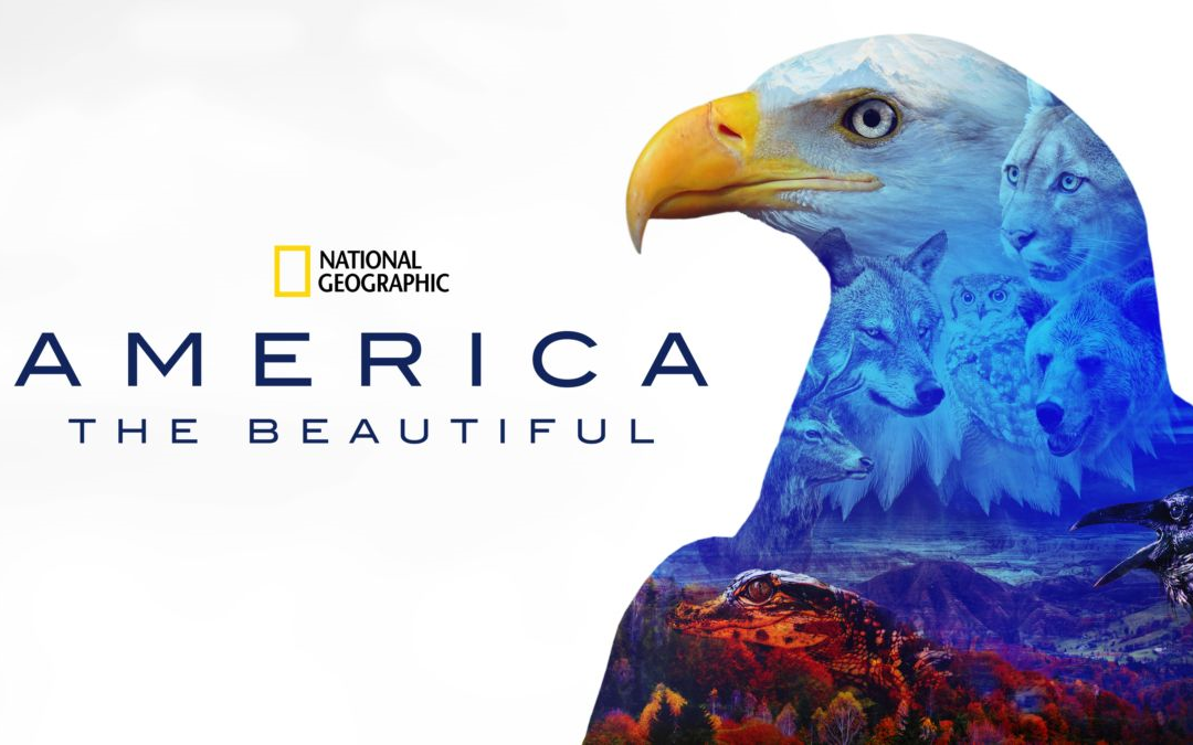 [图]美丽美利坚 第一季全六集 America the Beautiful