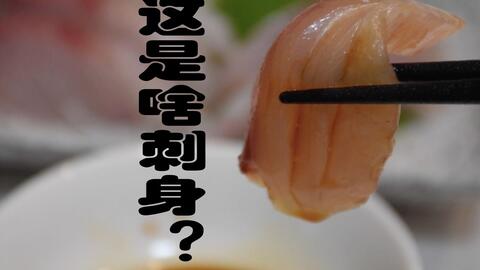 黄条鰤鱼刺身 哔哩哔哩