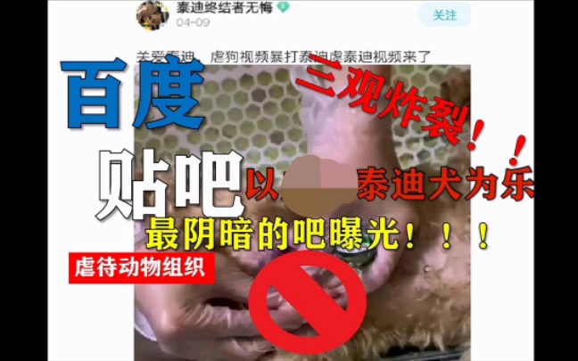 【百度贴吧】最阴暗的一些吧【曝光】!!只为讨论研究如何【关爱】泰迪!哔哩哔哩bilibili