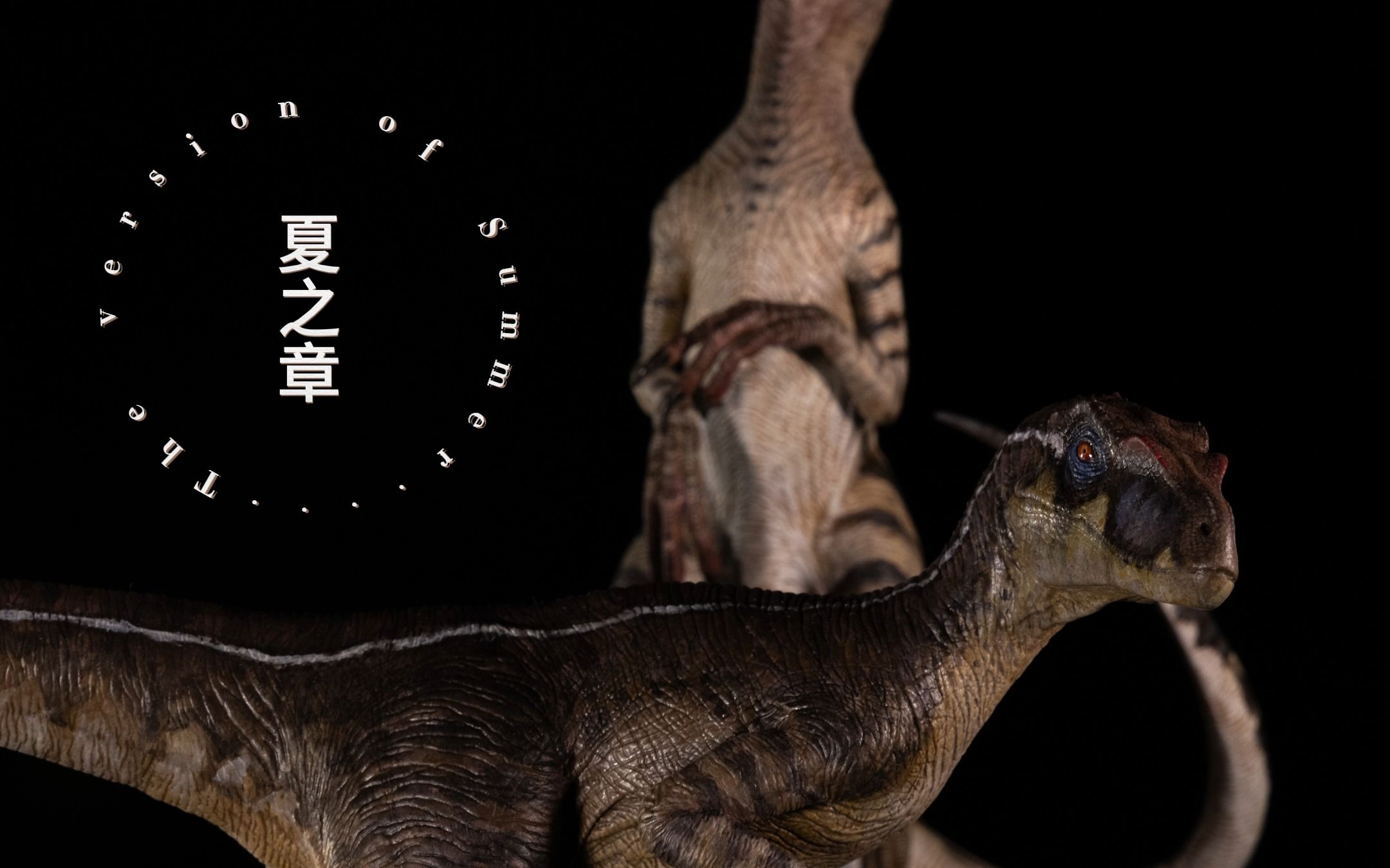 本心楠改 迅猛龙2.0 龙魂 夏之章 样品展示