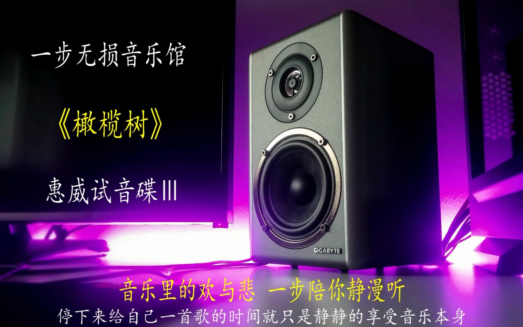 经典怀旧惠威试音原声大碟无损HIFI音质歌曲林汉洋《橄榄树》哔哩哔哩bilibili