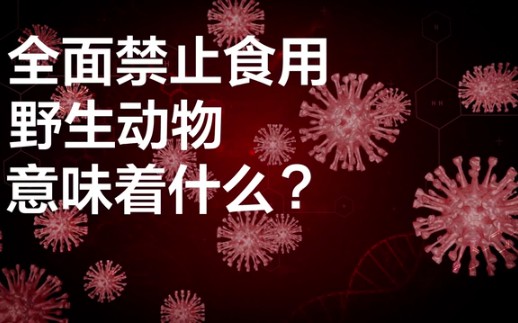 [图]全面禁止食用野生动物意味着什么？