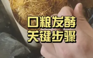 Download Video: 口粮发酵必不可少的步骤是这个！