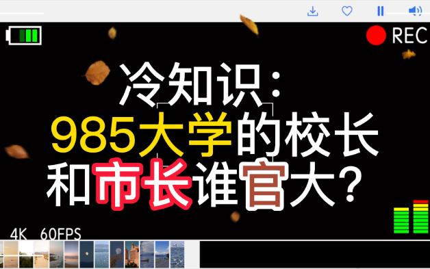 冷知识:985大学校长和市长谁的行政级别高?哔哩哔哩bilibili