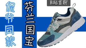 侃爷也上脚的芬兰国宝级慢跑鞋karhu Fusion 2 0 哔哩哔哩 つロ干杯 Bilibili