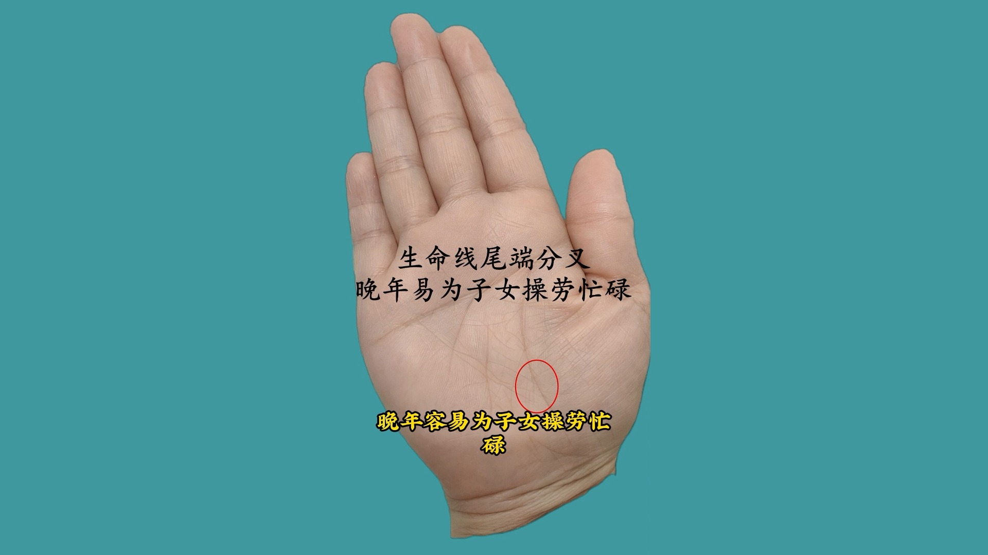 抓财手的手掌有什么特征?