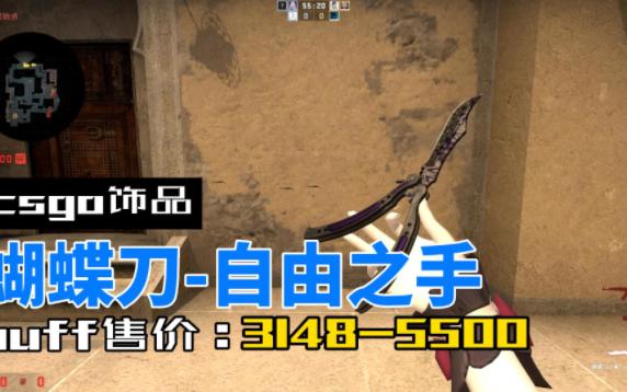 CSgo蝴蝶刀自由之手皮肤展示电子竞技热门视频