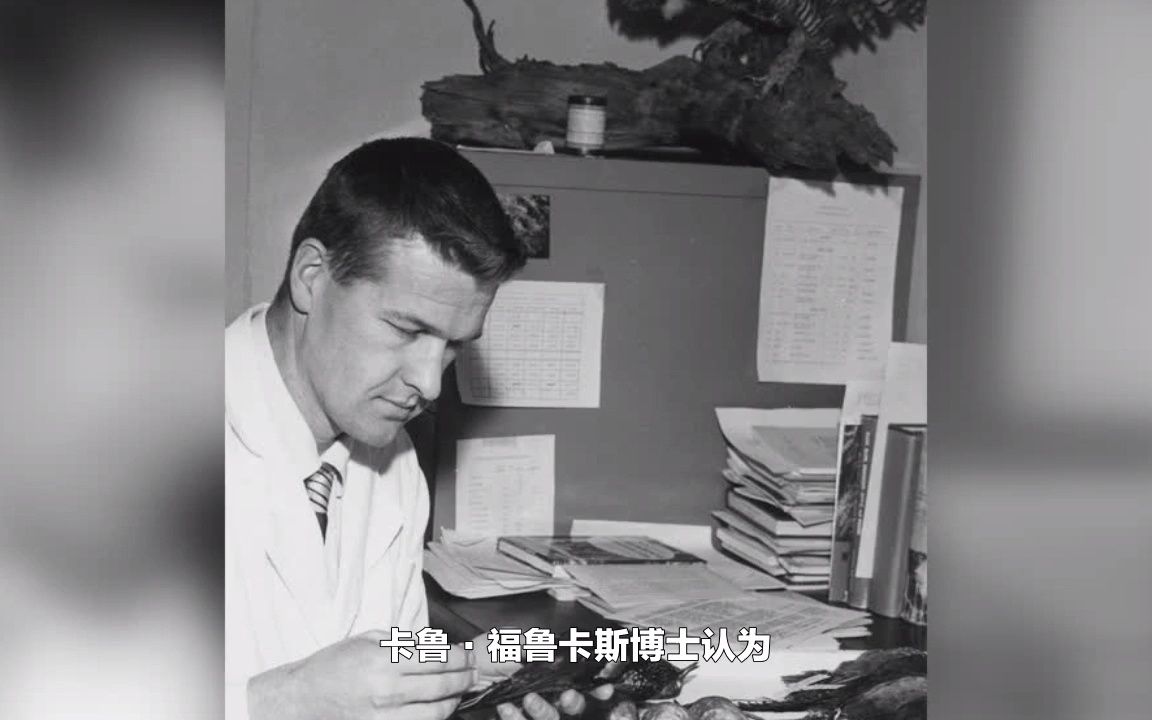 1957年就发现辅酶Q10,对身体好.60多年为啥不推广?有啥问题?哔哩哔哩bilibili