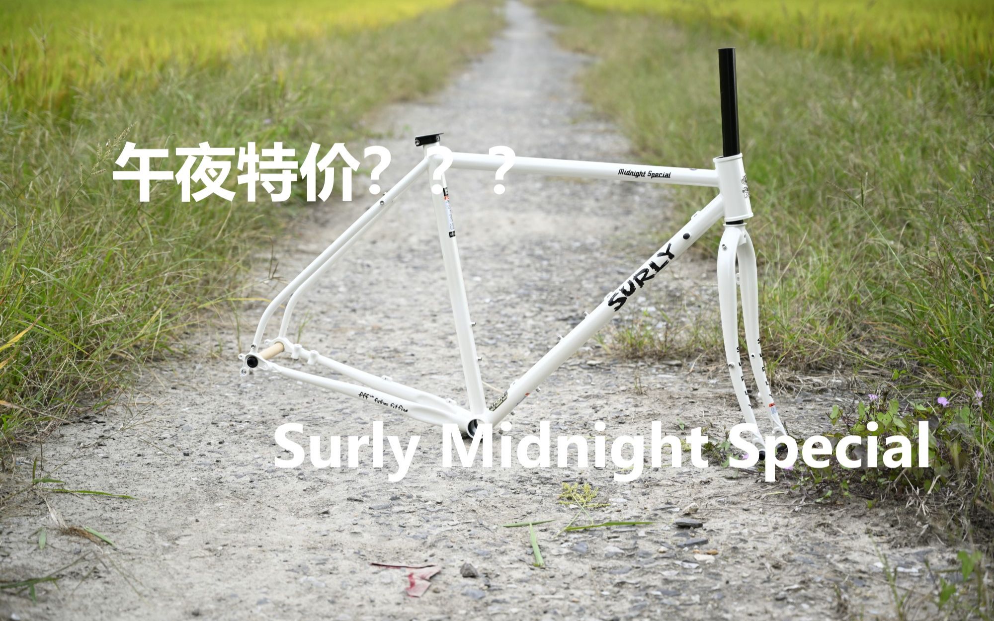 [图]"午夜特价" Surly Midnight Special 钢架Gravel砾石路车架