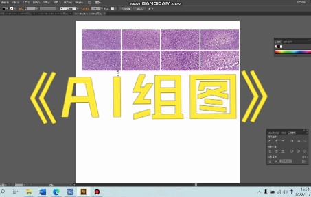 SCI论文组图、绘图必备工具| PS| Photoshop
