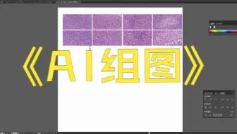 AI文章 组图 作图 新（清晰）