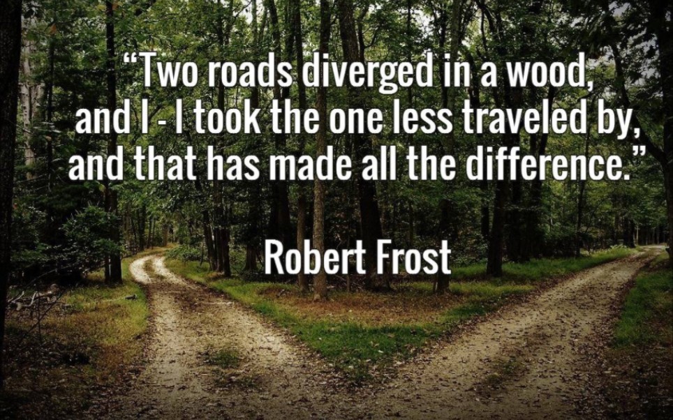 一片树林里分出两条路,而我选择了人迹更少的一条