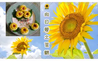 向日葵饼 搜索结果 哔哩哔哩 Bilibili