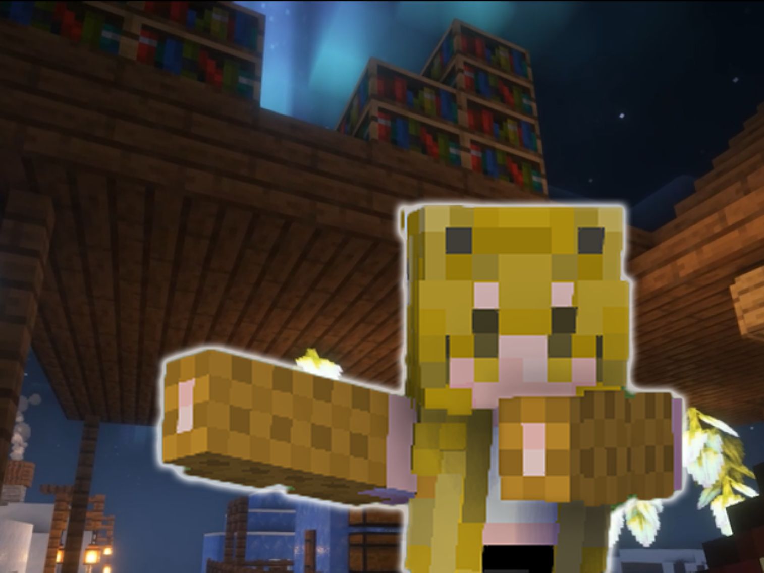 初建雪景房!#5我的世界darkrpg实况