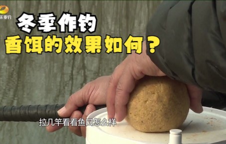 [图]冬季作钓香饵的效果如何？《垂钓学院》