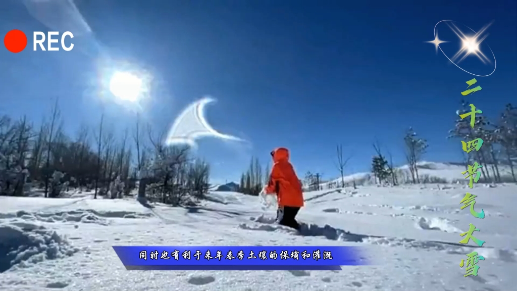 大雪:冬季的盛宴,雪花的赞歌哔哩哔哩bilibili