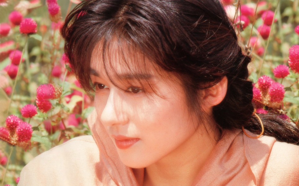 青山知可子 亚热带性气候